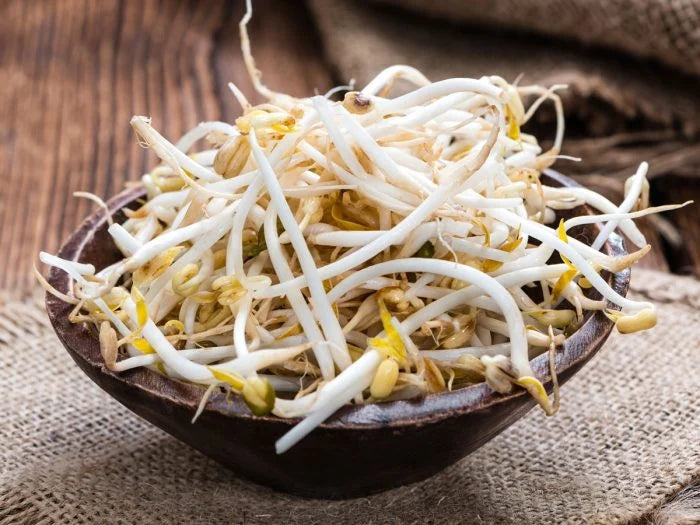 Bean Sprout/芽菜
