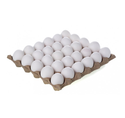 Egg Large White/大白鸡蛋